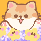 代号猫猫安卓版