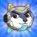 猫狗救援队5.0.0
